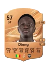 Dieng - 57 - Rare
