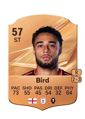 Bird - 57 - Rare EA FC 27 card