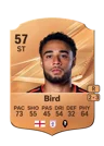 Bird - 57 - Rare