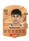 Todorovic - 57 - Rare