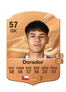 Dorador - 57 - Rare