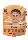 Vozar - 57 - Rare