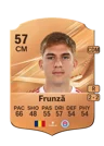 Frunză - 57 - Rare
