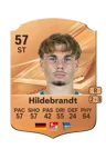 Hildebrandt - 57 - Rare