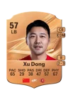 Xu Dong - 57 - Rare