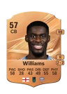Williams - 57 - Rare