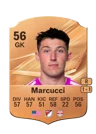 Marcucci - 56 - Rare
