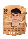 Taylor - 56 - Rare