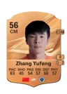 Zhang Yufeng - 56 - Rare
