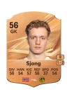 Sjong - 56 - Rare