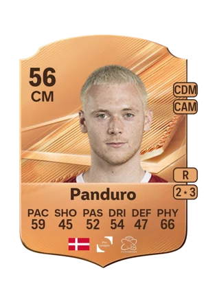 Panduro - 56 - Rare EA FC 27 card
