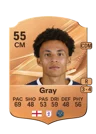Gray - 55 - Rare