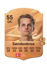 Søndenbroe - 55 - Rare