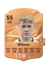 Wilson - 55 - Rare