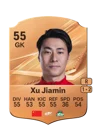 Xu Jiamin - 55 - Rare