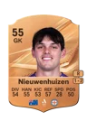 Nieuwenhuizen - 55 - Rare