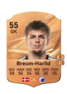 Breum-Harild - 55 - Rare