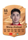 Wang Jinshuai - 55 - Rare