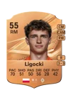 Ligocki - 55 - Rare