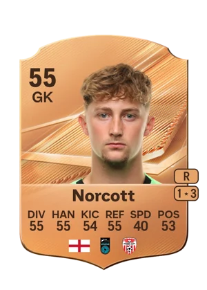 Norcott - 55 - Rare EA FC 27 card