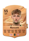 Norcott - 55 - Rare