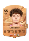 Libiseller - 55 - Rare