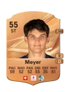 Meyer - 55 - Rare