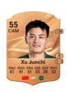 Xu Junchi - 55 - Rare