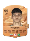 Heydari - 55 - Rare