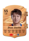 Zhao Jianfei - 55 - Rare