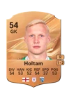 Holtam - 54 - Rare