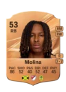 Molina - 53 - Rare