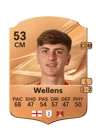 Wellens - 53 - Rare
