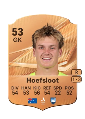 Hoefsloot - 53 - Rare EA FC 27 card