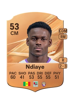 Ndiaye - 53 - Rare EA FC 27 card
