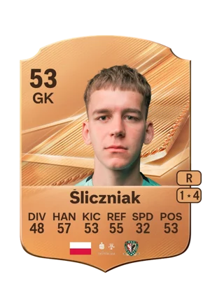 Śliczniak - 53 - Rare EA FC 27 card