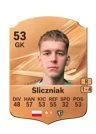 Śliczniak - 53 - Rare