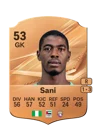 Sani - 53 - Rare