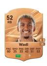 Wadi - 52 - Rare
