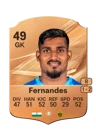 Fernandes - 49 - Rare