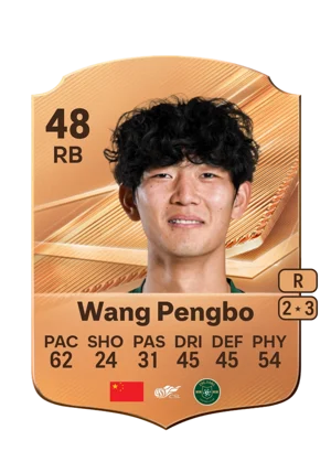 Wang Pengbo - 48 - Rare EA FC 27 card