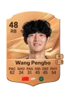 Wang Pengbo - 48 - Rare