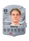 Sjøeng - 65 - Rare