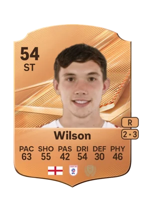 Wilson - 54 - Rare EA FC 27 card