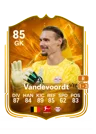 Vandevoordt - 85 - Star Performer